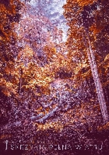 Skrzynia pełna wiatru - Anna Pituch-Noworolska