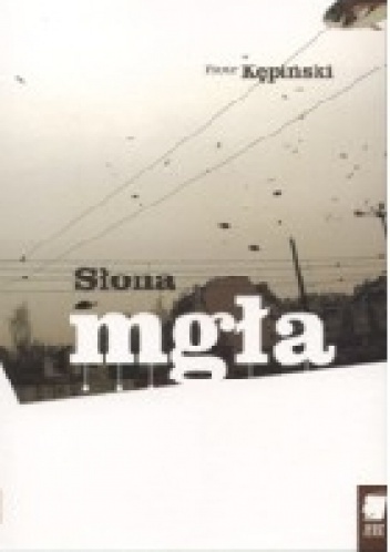 Słona mgła - Piotr Kępiński