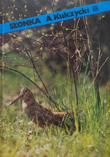 Słonka - Antoni Kulczycki