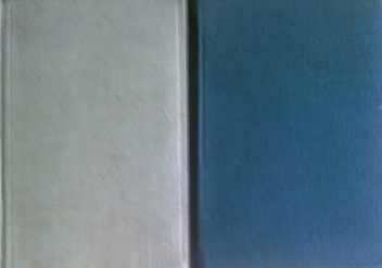 Słownik podręczny niemiecko-polski, polsko-niemiecki - Paweł Kalina