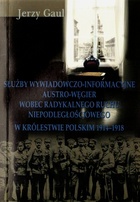 Służby wywiadowczo-informacyjne Austro-Węgier wobec radykalnego ruchu niepodległościowego w Królestwie Polskim 1914-1918 - Jerzy Gaul