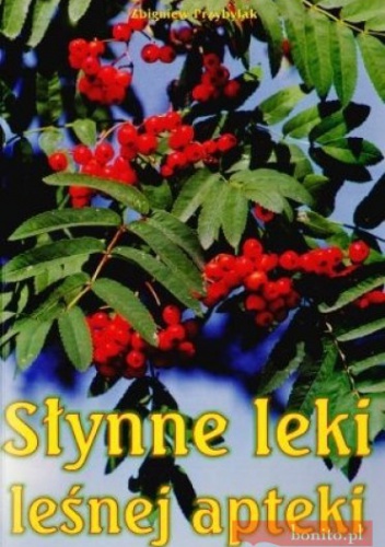 Słynne leki leśnej apteki - Zbigniew Przybylak