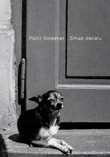 Smak detalu i inne ogólniki - Piotr Sommer