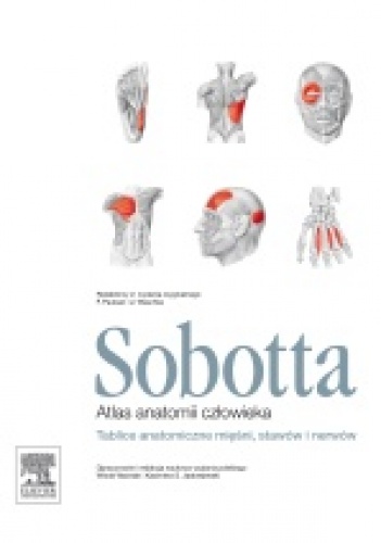 Sobotta. Tablice anatomiczne mięśni, stawów i nerwów. Atlas anatomii człowieka. - Johannes Sobotta
