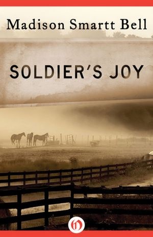 Soldier's Joy - Madison Smartt Bell