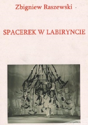 Spacerek w labiryncie - Zbigniew Raszewski