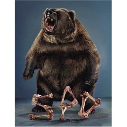 Spd - praca zbiorowa