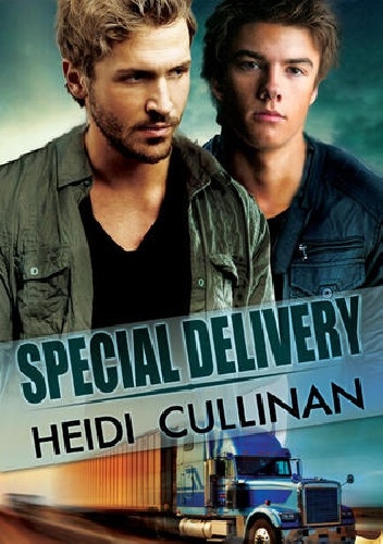 Special Delivery - Heidi Cullinan