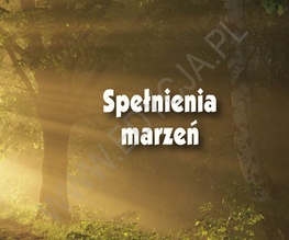 Spełnienia marzeń. Perełka 16 - praca zbiorowa