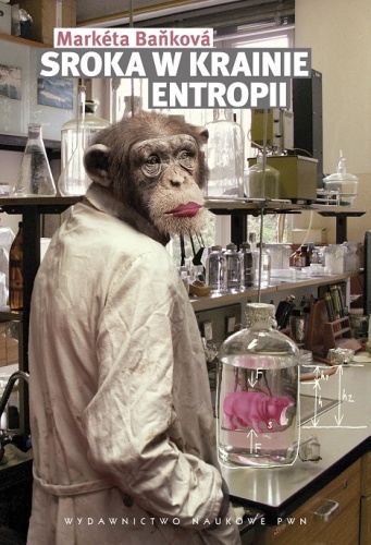 Sroka w krainie entropii - Markéta Baňková