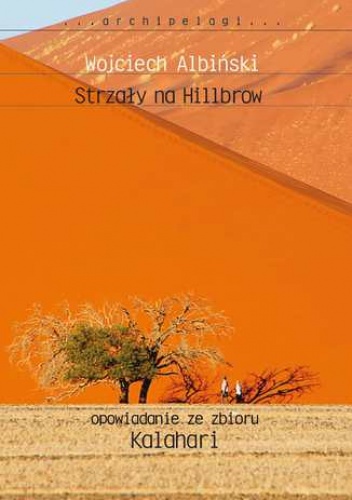 Strzały na Hillbrow - Wojciech Albiński