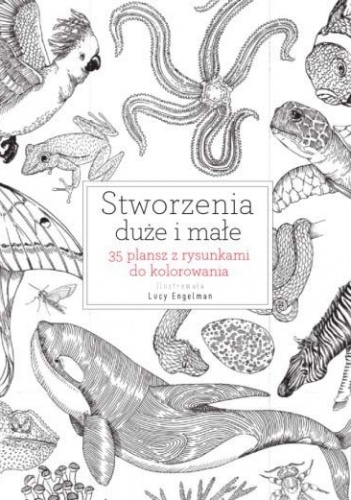Stworzenia duże i małe. 35 plansz z rysunkami do kolorowania - praca zbiorowa
