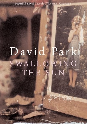 Swallowing the Sun - David Park