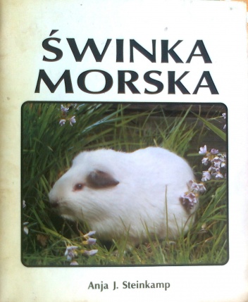 Świnka morska - Anja J. Steinkamp