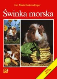 Świnka morska - Maria Eva Bartenschlager