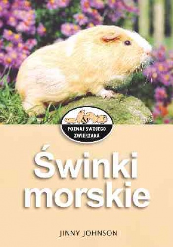 Świnki morskie - Jinny Johnson