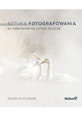 Sztuka fotografowania. 60 pomysłów na lepsze zdjęcia - David duChemin