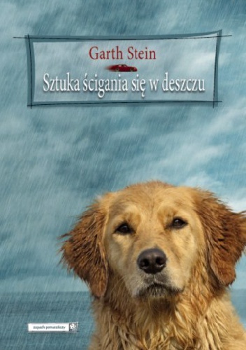 Sztuka ścigania się w deszczu - Garth Stein