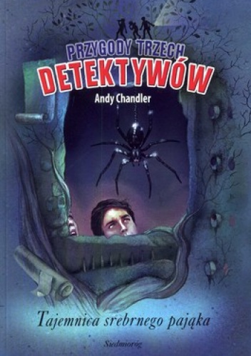 Tajemnica srebrnego pająka - Andy Chandler