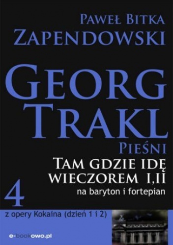 Tam gdzie idę wieczorem - Zapendowski Paweł