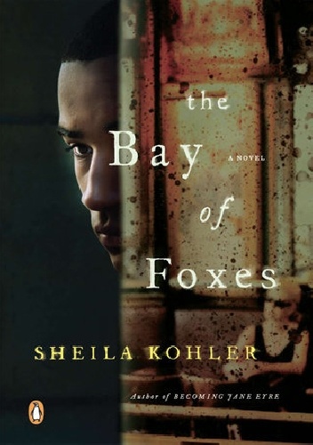 The Bay of Foxes - Sheila Kohler