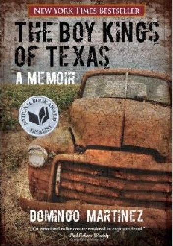 The Boy Kings of Texas - Domingo Martinez