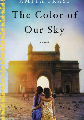 The Color of Our Sky - Amita Trasi
