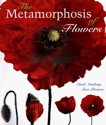 The Metamorphosis of Flowers - Marie Perennou, Claude Nuridsany