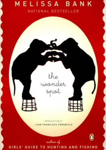 The Wonder Spot - Melissa Bank