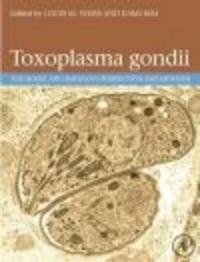 Toxoplasma Gondii - Louis M. Weiss, Kami Kim