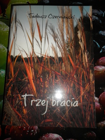 Trzej bracia - Tadeusz Czerniawski