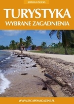 Turystyka. Wybrane zagadnienia - Jadwiga Płocka