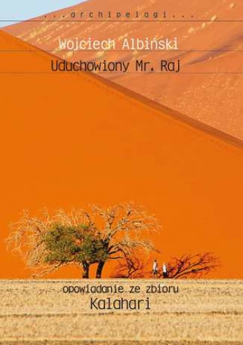 Uduchowiony Mr. Raj - Wojciech Albiński