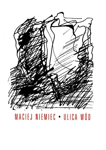 Ulica wód - Maciej Niemiec