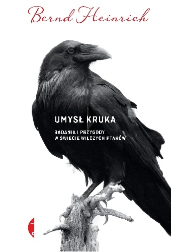Umysł kruka. Badania i przygody w świecie wilczych ptaków - Bernd Heinrich