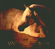 Vavra&s Vision. Equine Images - praca zbiorowa