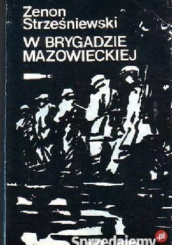 W brygadzie mazowieckiej - Zenon Strześniewski