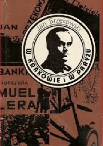 W Krakowie i w Paryżu. Wspomnienia i szkice - Jan Brzękowski