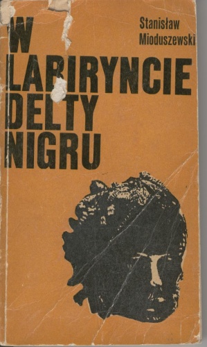 W labiryncie delty Nigru - Stanisław Mioduszewski