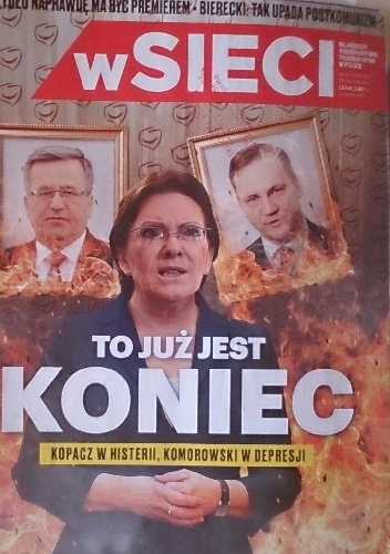 W sieci, nr 24/2015 - praca zbiorowa