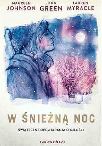 W śnieżną noc