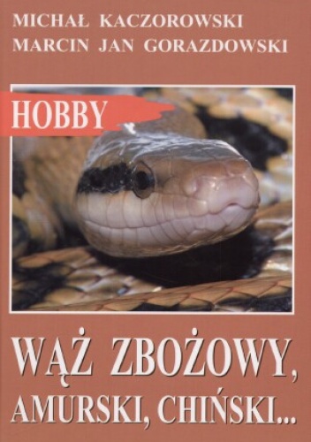 Wąż zbożowy, amurski, chiński - Michał Kaczorowski, Marcin Jan Gorazdowski