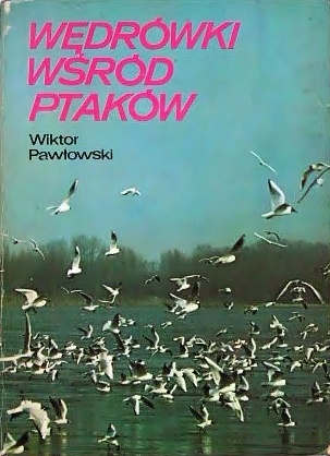 Wędrówki wśród ptaków - Wiktor Pawłowski