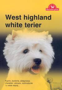 West highland white terier - Zespół Over Dieren