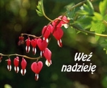 Weź nadzieję. Perełka 4 - praca zbiorowa