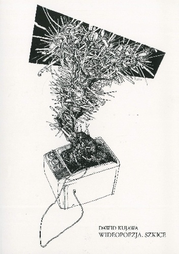 Wideopoezja. Szkice - Dawid Kujawa