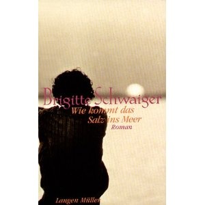 Wie kommt das Salz ins Meer? - Brigitte Schwaiger