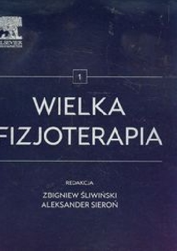 Wielka fizjoterapia Tom 1 - Aleksander Sieroń, Zbigniew Śliwiński