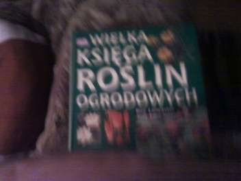 Wielka księga roślin ogrodowych. Byliny - Roy Lancaster