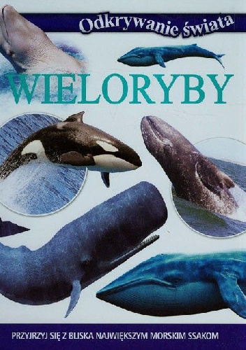 Wieloryby. Odkrywanie świata - Michał Wierzbicki